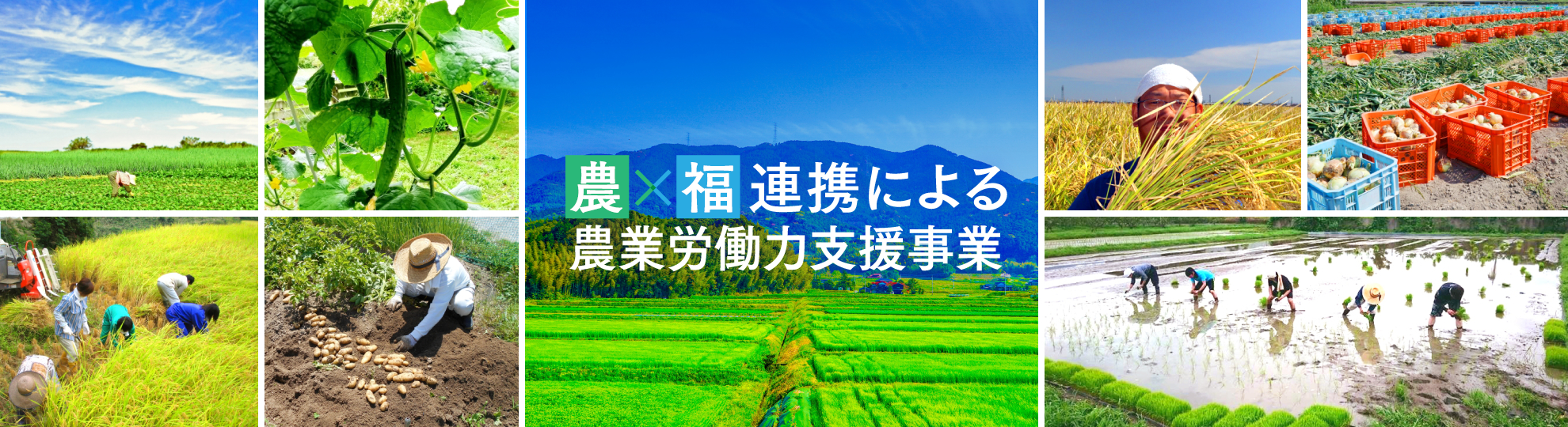 農福連携事業に関するページのバナー(PC版)