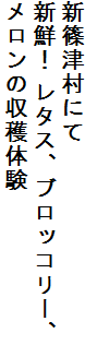 VÑɂ
VNI ^XAubR[A
̎ň