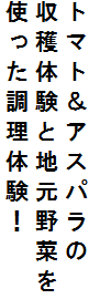 g}gAXp
ňƒn؂
ǧI