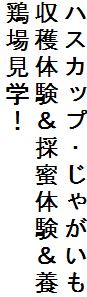 nXJbvEႪ
ň̖̌{
{ꌩwI