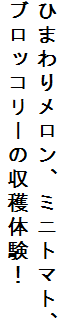 Ђ܂胁A~jg}gA
ubR[̎ňI