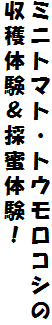 ~jg}gEgERV
ň̖̌I