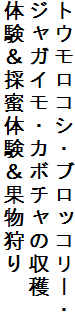 gERVEubR[E
WKCEJ{`̎n
̖̌̌ʕ