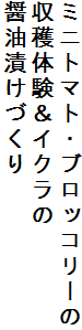 ~jg}gEubR[
ňCN
ݖЂÂ