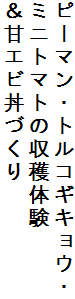s[}EgRMLEE
~jg}g̎ň
ÃGrÂ