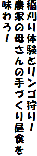 ̌ƃSI
_Ƃ̕ꂳ̎Â蒋H
키I
