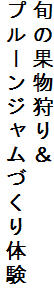 {̉ʕ聕
v[WÂ̌