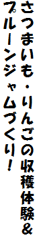 ܂E񂲂̎ň
v[WÂI