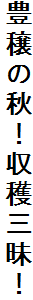 L̏HInOI