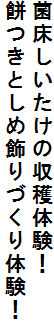 ۏ̎ňI
݂ƂߏÂ̌I