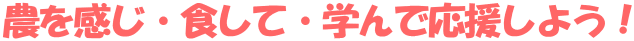 _EHāEwŉ悤I