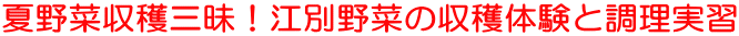 Ė؎nOI]ʖ؂̎ňƒK