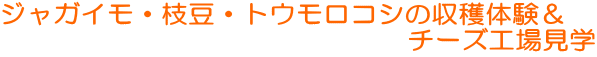 WKCE}EgERV̎ň @@@@@@@@@@@@@@@`[YHꌩw