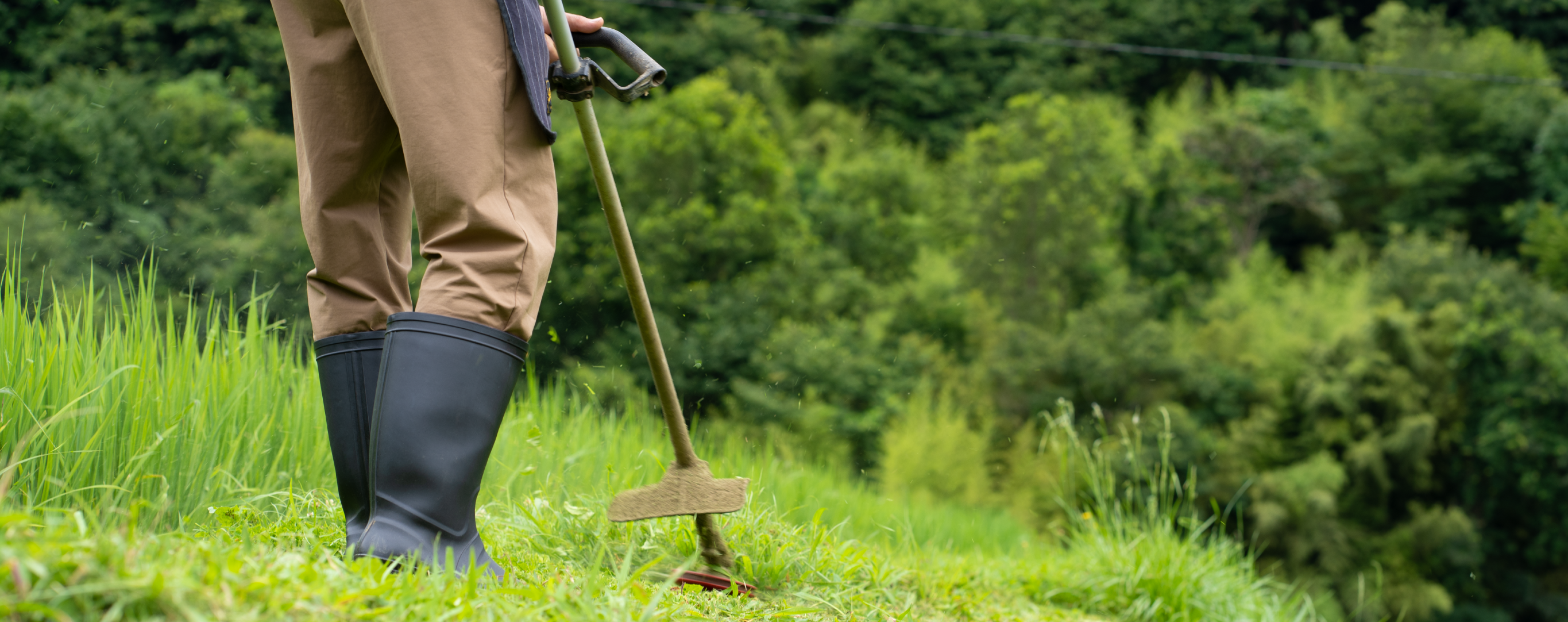 農作業のイメージ