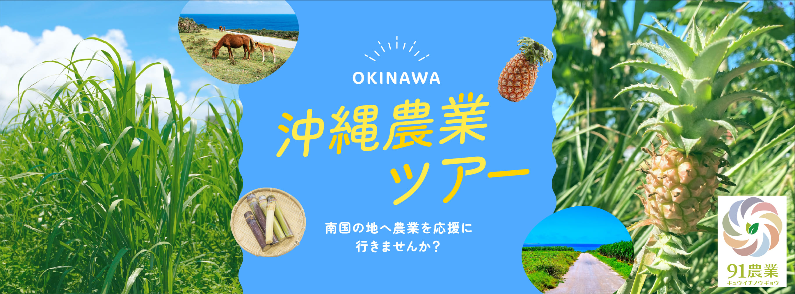 沖縄農業ツアー