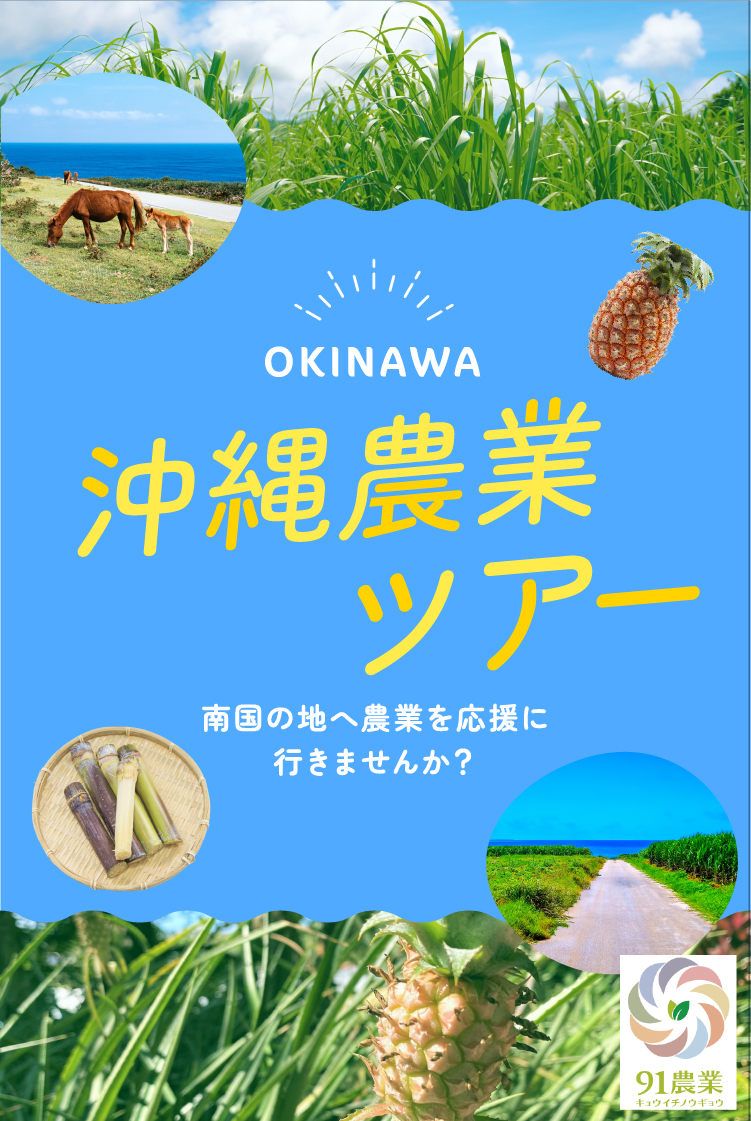 沖縄農業ツアー