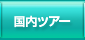 国内ツアー