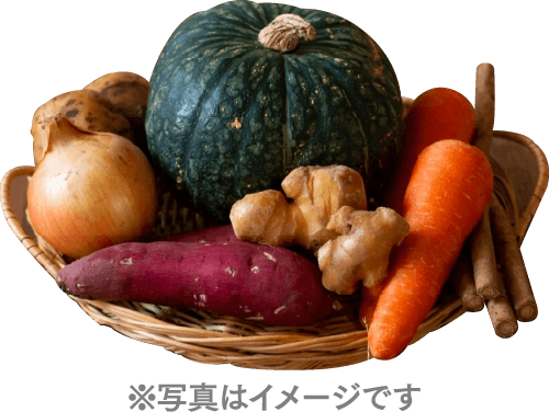 季節の有機野菜セット
