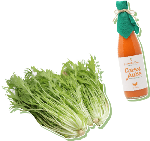 オーガニッククイズに挑戦しよう！