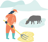 クイズイメージ