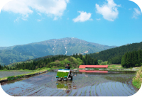 クイズイメージ