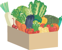 クイズイメージ