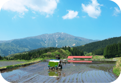 美味しさの秘密は？